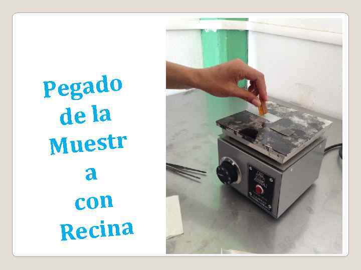 egado P de la Muestr a con Recina 