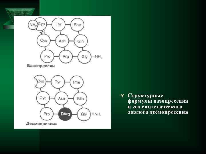 Ú Структурные формулы вазопрессина и его синтетического аналога десмопрессина 