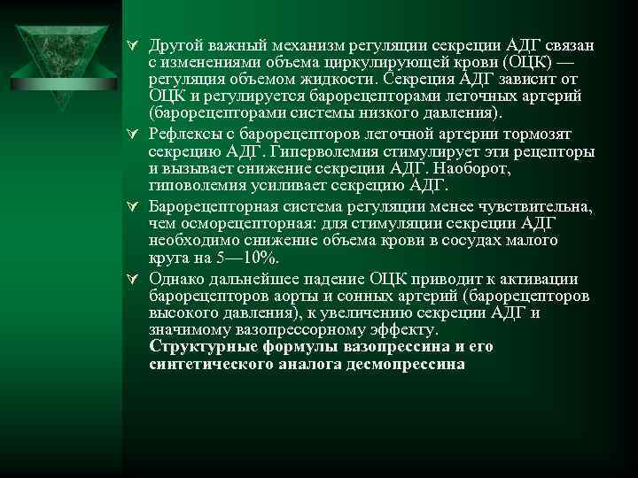 Ú Другой важный механизм регуляции секреции АДГ связан с изменениями объема циркулирующей крови (ОЦК)