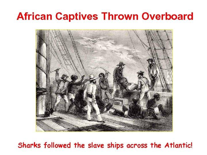 African Captives Thrown Overboard Sharks followed the slave ships across the Atlantic! 