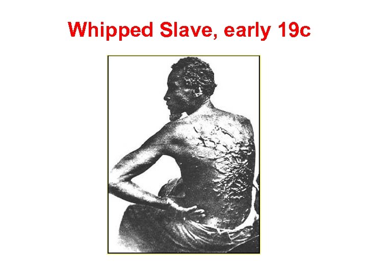 Whipped Slave, early 19 c 