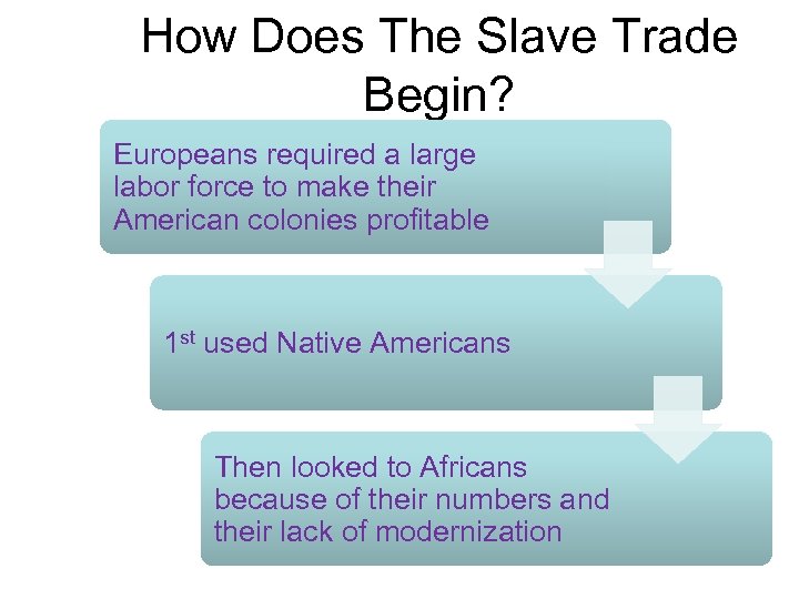 How Does The Slave Trade Begin? Europeans required a large labor force to make