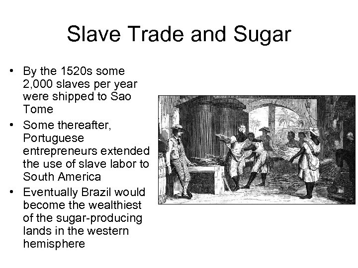 Slave Trade and Sugar • By the 1520 s some 2, 000 slaves per