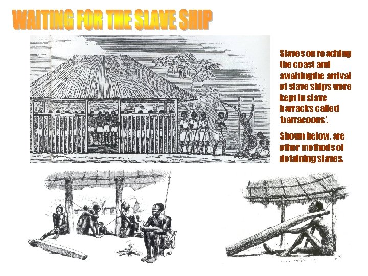 Slaves on reaching the coast and awaitingthe arrival of slave ships were kept in