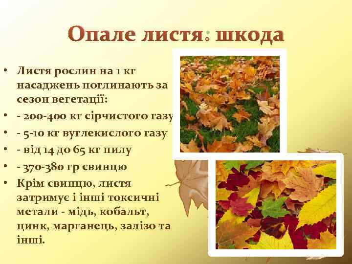 Опале листя: шкода • Листя рослин на 1 кг насаджень поглинають за сезон вегетації: