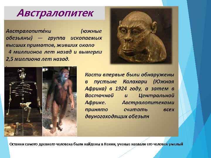 Останки самого древнего человека были найдены в Кении, ученые назвали его человек умелый 