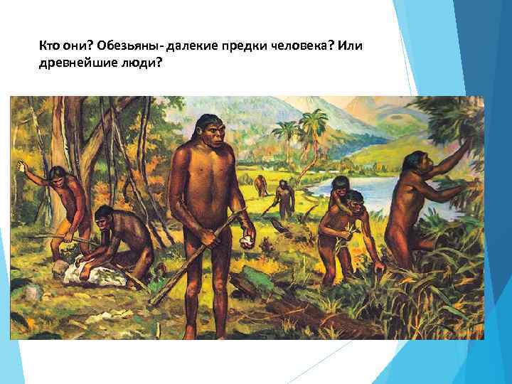 Кто они? Обезьяны- далекие предки человека? Или древнейшие люди? 