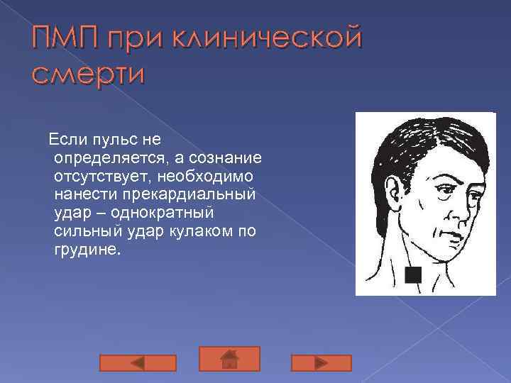 ПМП при клинической смерти Если пульс не определяется, а сознание отсутствует, необходимо нанести прекардиальный