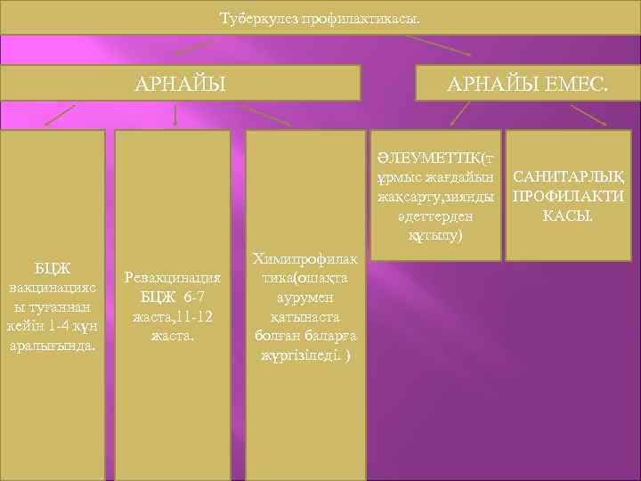 Туберкулез профилактикасы. АРНАЙЫ ЕМЕС. ӘЛЕУМЕТТІК(т ұрмыс жағдайын жақсарту, зиянды әдеттерден құтылу) БЦЖ вакцинацияс ы