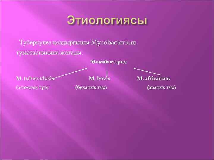 Туберкулез қоздырғышы Mycobacterium туыстастығына жатады. Микобактерия M. tuberculosis (адамдық түр) M. bovis (бұқалық түр)