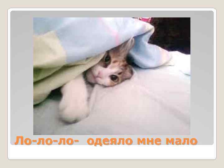 Ло-ло-ло- одеяло мне мало 