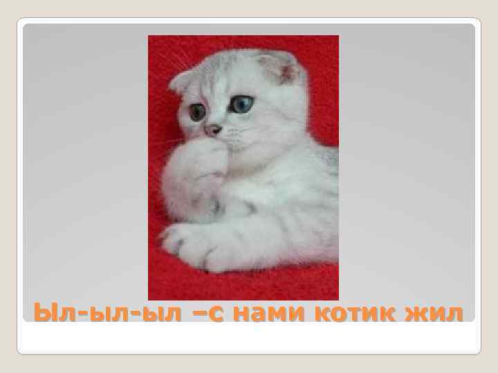Ыл-ыл-ыл –с нами котик жил 