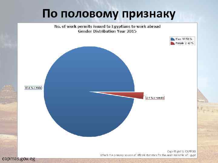 По половому признаку capmas. gov. eg 