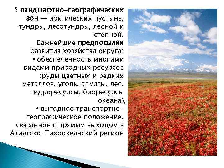 5 ландшафтно-географических зон — арктических пустынь, тундры, лесотундры, лесной и степной. Важнейшие предпосылки развития