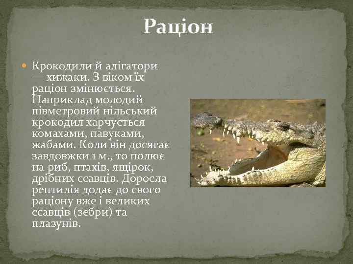 Раціон Крокодили й алігатори — хижаки. З віком їх раціон змінюється. Наприклад молодий півметровий