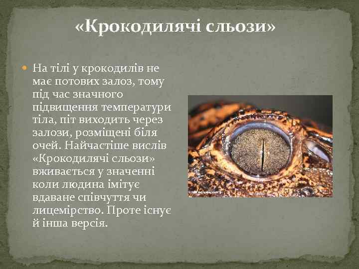  «Крокодилячі сльози» На тілі у крокодилів не має потових залоз, тому під час