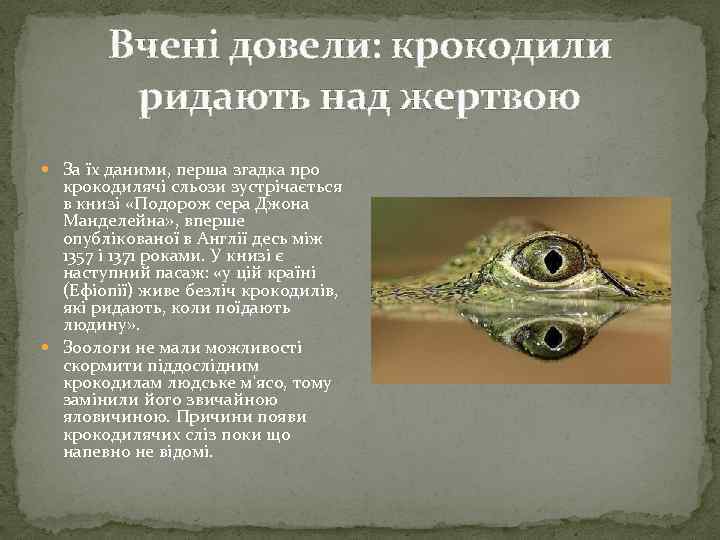 Вчені довели: крокодили ридають над жертвою За їх даними, перша згадка про крокодилячі сльози