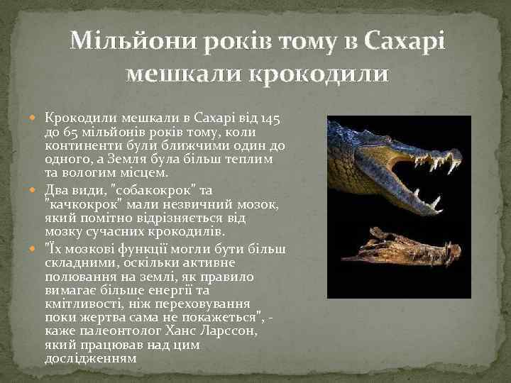 Мільйони років тому в Сахарі мешкали крокодили Крокодили мешкали в Сахарі від 145 до