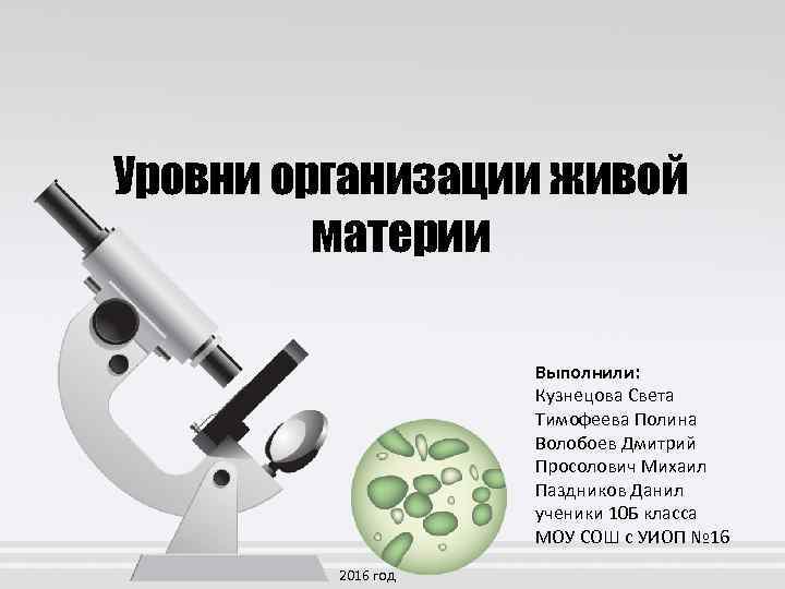 Уровни организации живой материи Выполнили: Кузнецова Света Тимофеева Полина Волобоев Дмитрий Просолович Михаил Паздников