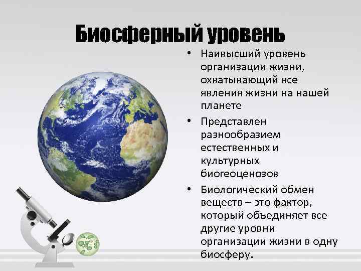 Биосферный уровень • Наивысший уровень организации жизни, охватывающий все явления жизни на нашей планете