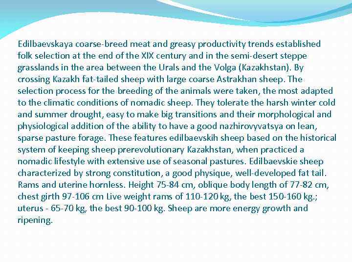 Edilbaevskaya coarse-breed meat and greasy productivity trends established folk selection at the end of