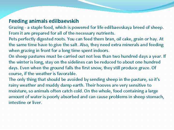 Feeding animals edilbaevskih Grazing - a staple food, which is powered for life edilbaevskaya