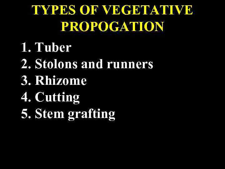 TYPES OF VEGETATIVE PROPOGATION 1. Tuber 2. Stolons and runners 3. Rhizome 4. Cutting