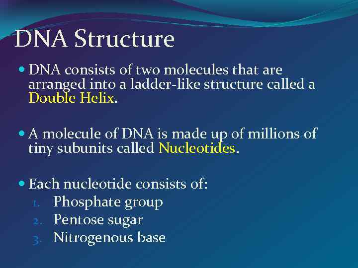 DNA Structure DNA consists of two molecules that are arranged into a ladder-like structure