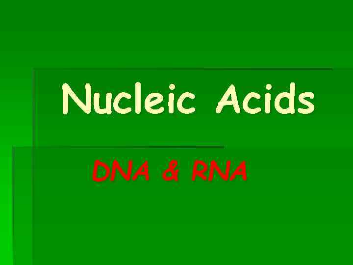 Nucleic Acids DNA & RNA 