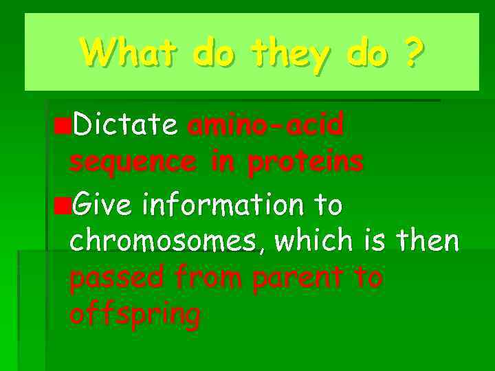 What do they do ? Dictate amino-acid sequence in proteins Give information to chromosomes,