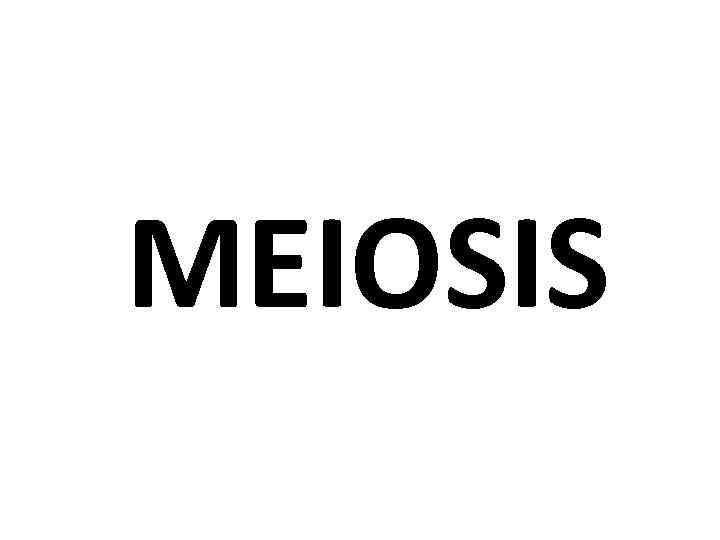 MEIOSIS 