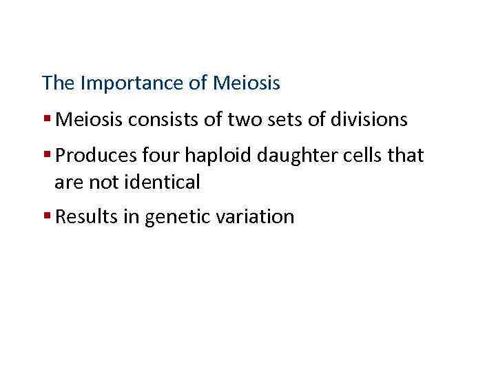 The Importance of Meiosis § Meiosis consists of two sets of divisions § Produces