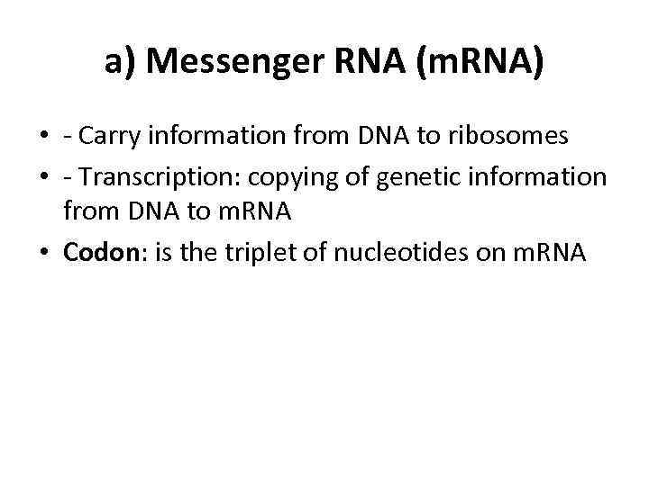 a) Messenger RNA (m. RNA) • - Carry information from DNA to ribosomes •