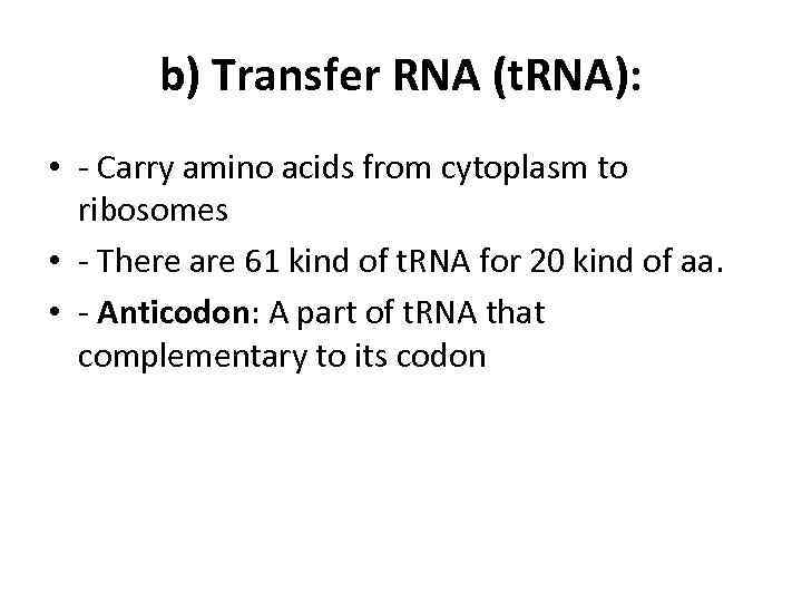 b) Transfer RNA (t. RNA): • - Carry amino acids from cytoplasm to ribosomes