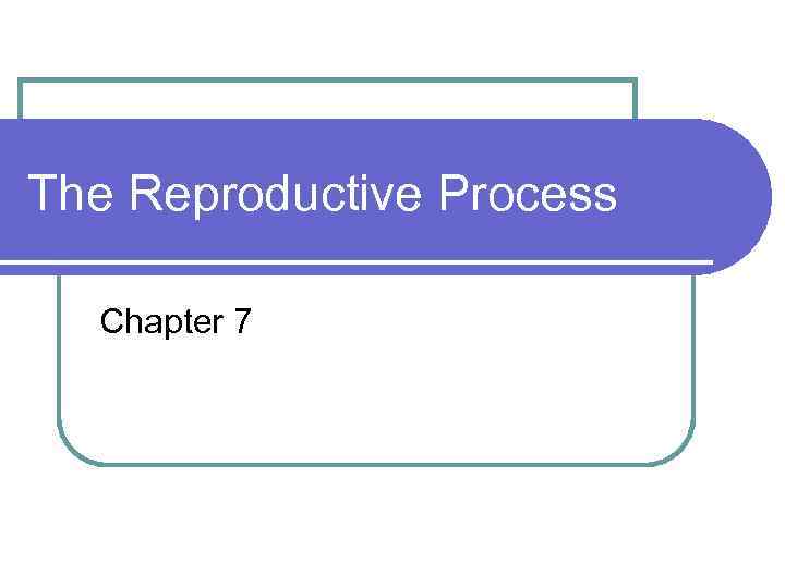 The Reproductive Process Chapter 7 