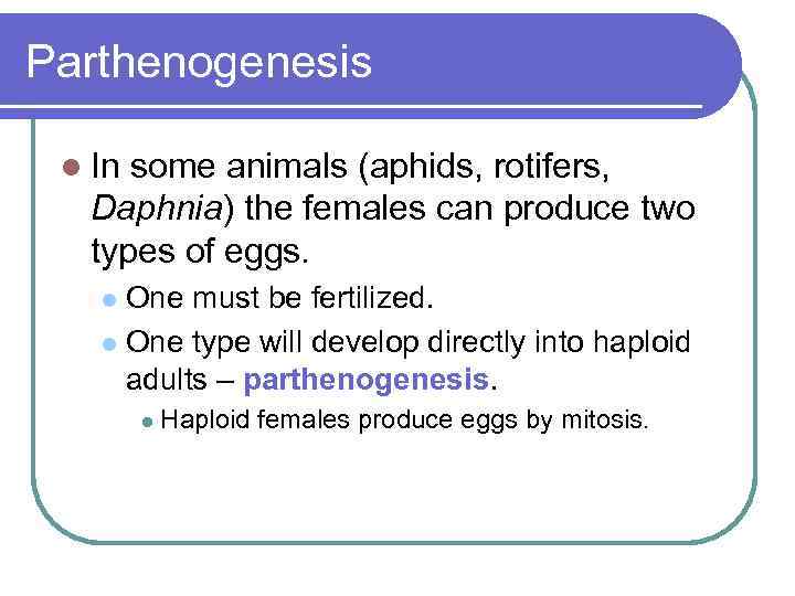 Parthenogenesis l In some animals (aphids, rotifers, Daphnia) the females can produce two types