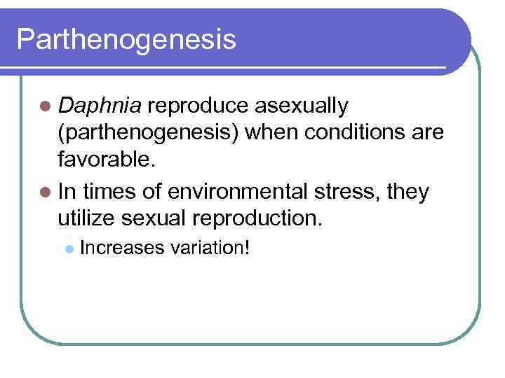 Parthenogenesis l Daphnia reproduce asexually (parthenogenesis) when conditions are favorable. l In times of