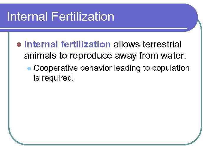 Internal Fertilization l Internal fertilization allows terrestrial animals to reproduce away from water. l