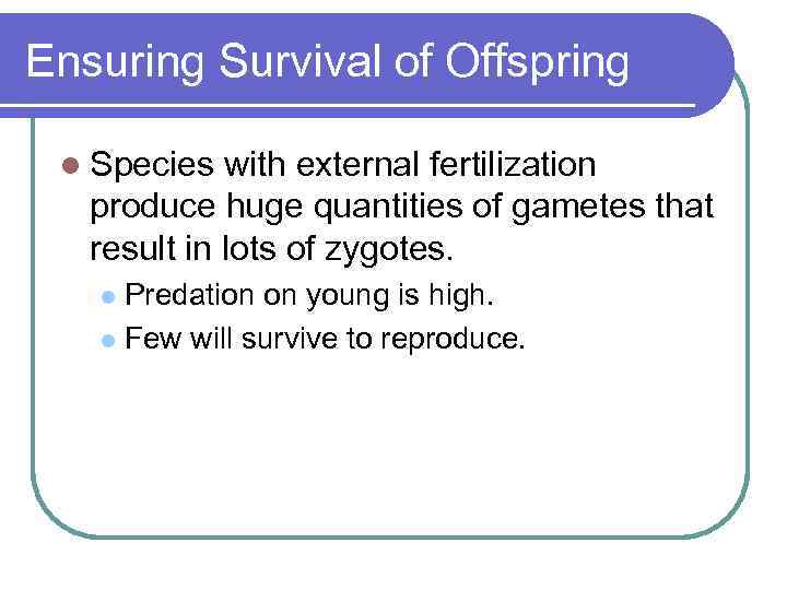Ensuring Survival of Offspring l Species with external fertilization produce huge quantities of gametes