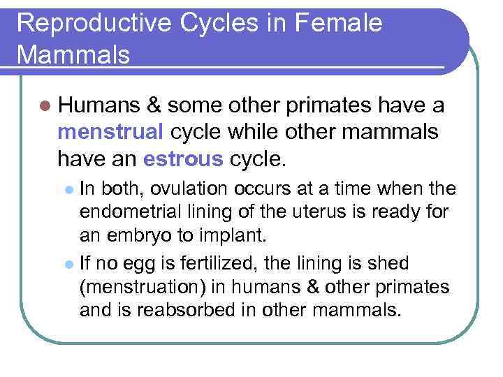 Reproductive Cycles in Female Mammals l Humans & some other primates have a menstrual