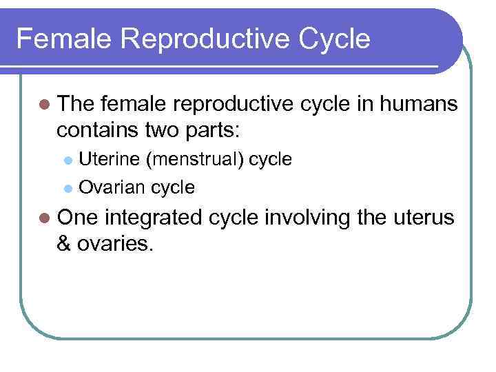 Female Reproductive Cycle l The female reproductive cycle in humans contains two parts: Uterine