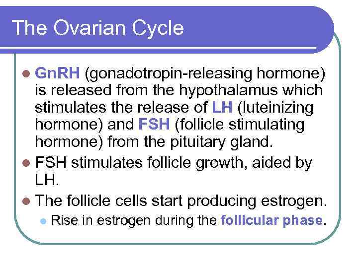 The Ovarian Cycle l Gn. RH (gonadotropin-releasing hormone) is released from the hypothalamus which