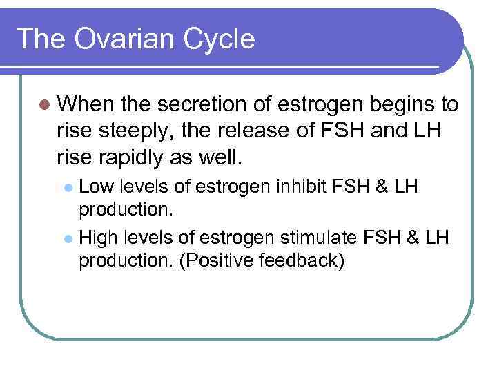The Ovarian Cycle l When the secretion of estrogen begins to rise steeply, the