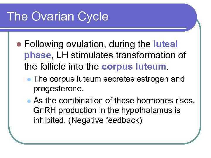 The Ovarian Cycle l Following ovulation, during the luteal phase, LH stimulates transformation of