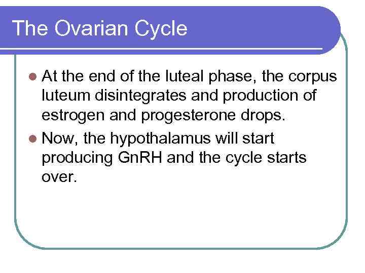 The Ovarian Cycle l At the end of the luteal phase, the corpus luteum