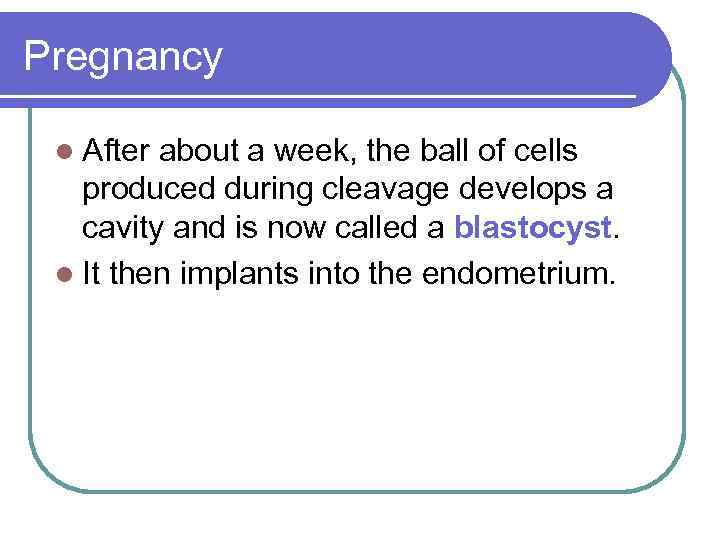 Pregnancy l After about a week, the ball of cells produced during cleavage develops