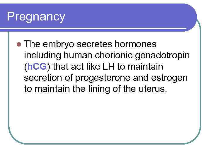 Pregnancy l The embryo secretes hormones including human chorionic gonadotropin (h. CG) that act