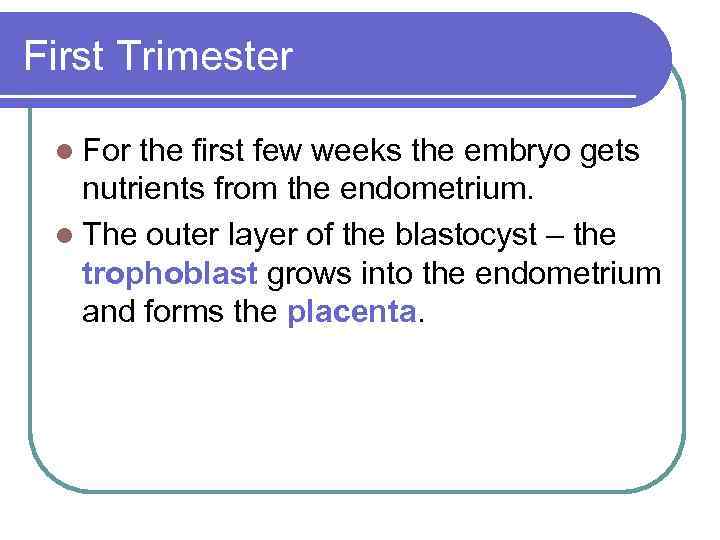 First Trimester l For the first few weeks the embryo gets nutrients from the