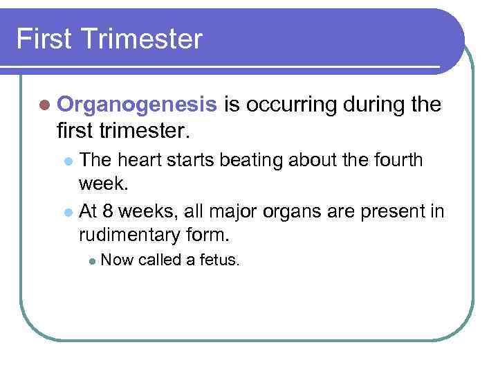 First Trimester l Organogenesis is occurring during the first trimester. The heart starts beating