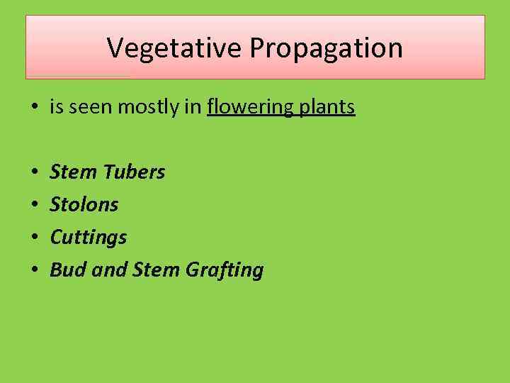 Vegetative Propagation • is seen mostly in flowering plants • • Stem Tubers Stolons
